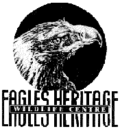 Eagles Heritage - Accommodation Perth